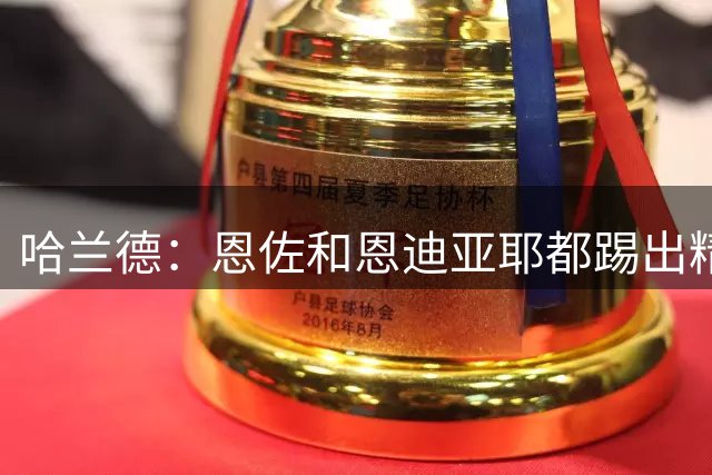 哈兰德：恩佐和恩迪亚耶都踢出精彩比赛，他们具备顶尖实力