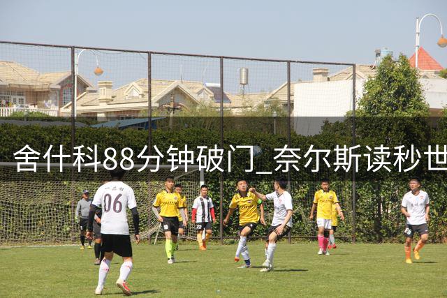 舍什科88分钟破门 奈尔斯读秒世界波 曼联2-2埃弗顿